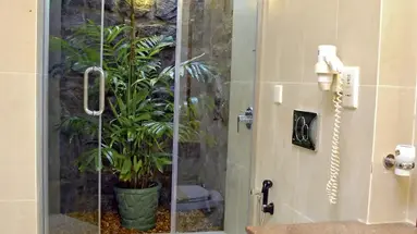 Siddhalepa Ayurveda Health Resort