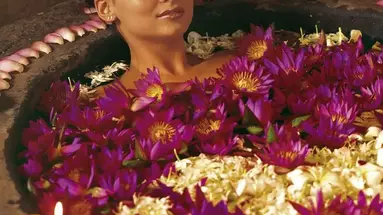 Siddhalepa Ayurveda Health Resort