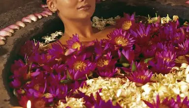 Siddhalepa Ayurveda Health Resort
