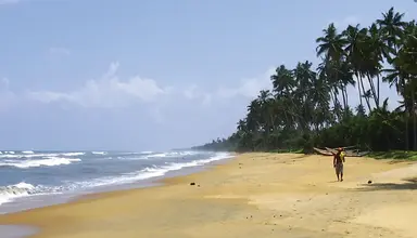 Siddhalepa Ayurveda Health Resort