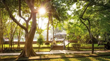 Siddhalepa Ayurveda Health Resort