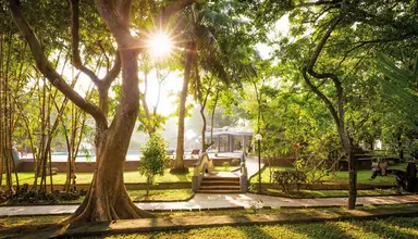 Siddhalepa Ayurveda Health Resort