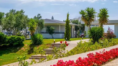 Side Azalia Garden