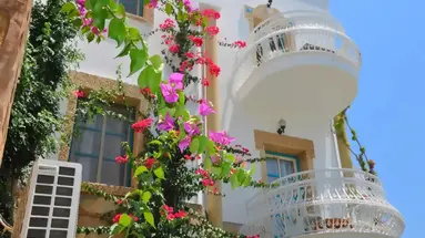 Siesta Beach Apartments