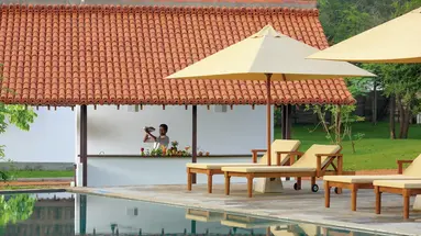 Sigiriya Jungle