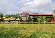 Sigiriya Jungle
