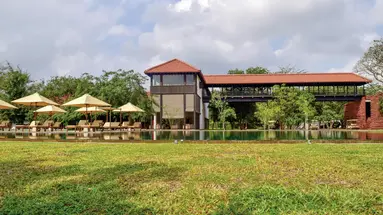 Sigiriya Jungle