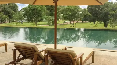 Sigiriya Jungle