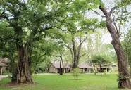Sigiriya Village