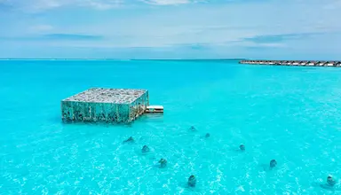 Sirru Fen Fushi Private Lagoon Resort