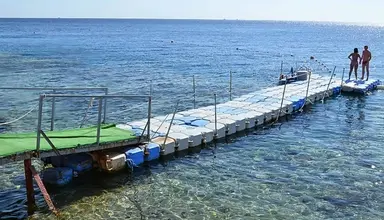 Siva Sharm Resort & Spa