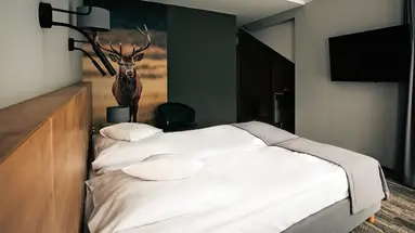 Skalny Szczyrk