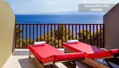 Skiathos Palace