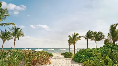 SLS Playa Mujeres
