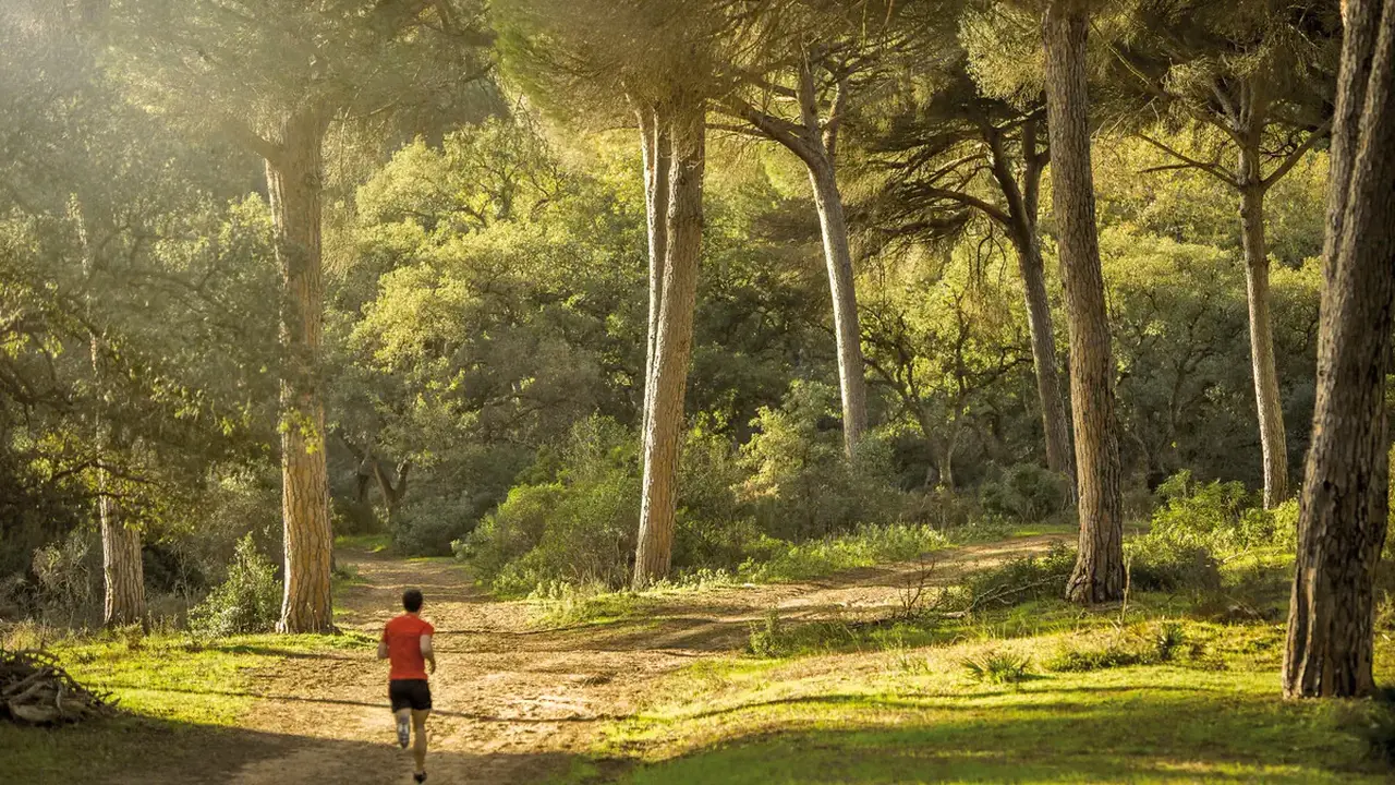 SO/ Sotogrande Spa & Golf Resort