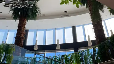 SoBlue