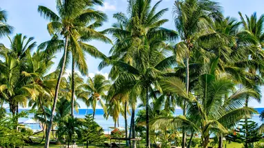 Sofitel Imperial Resort & Spa