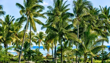 Sofitel Imperial Resort & Spa