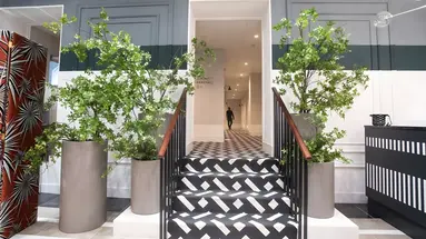 Soho Boutique Opera