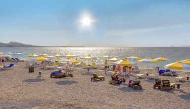 Sol by Melia Cosmopolitan