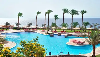 Sol Dahab Red Sea