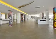 Sol House The Studio