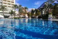 Sol Ifach
