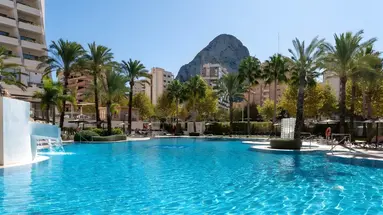 Sol Ifach