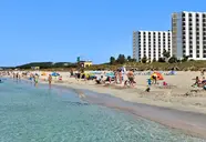 Sol Milanos Pinguinos