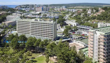 Sol Palmanova