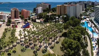 Sol Palmanova