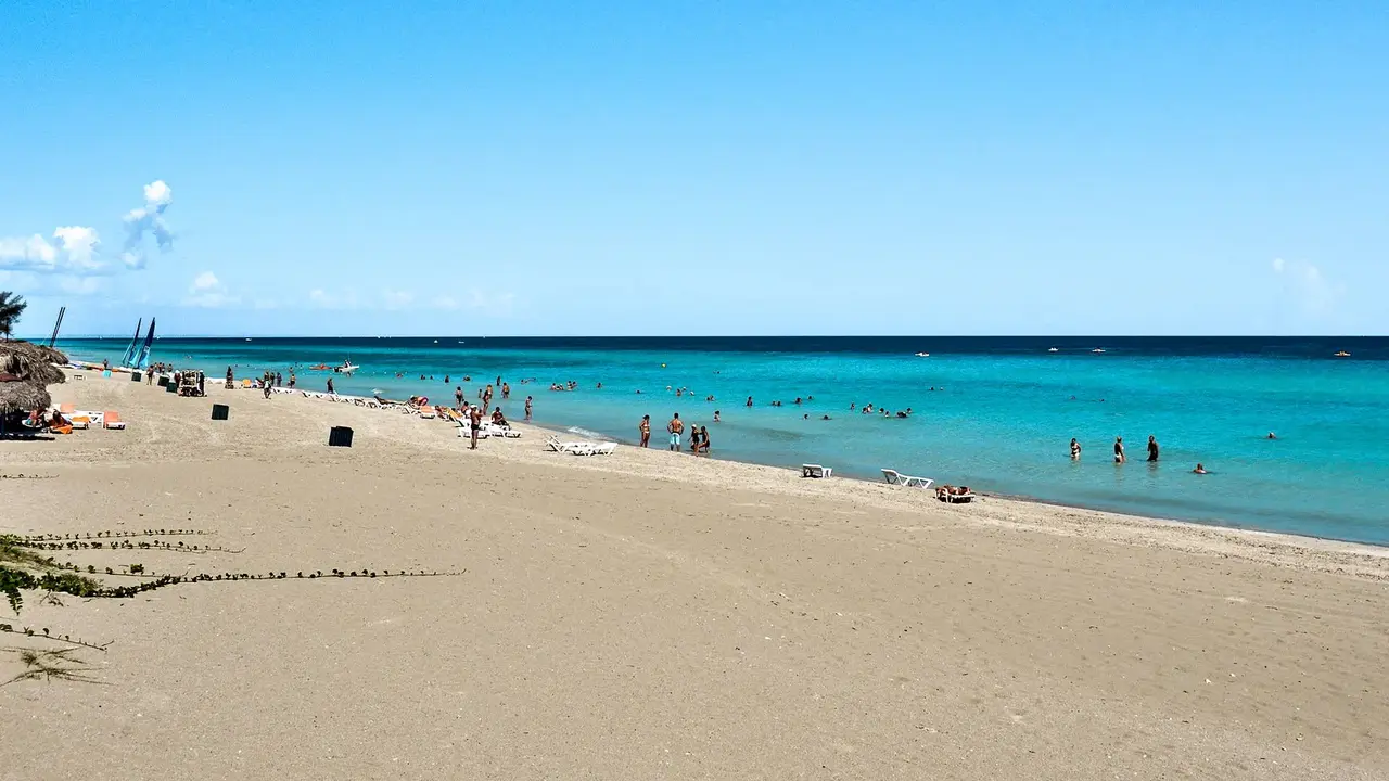 Sol Palmeras