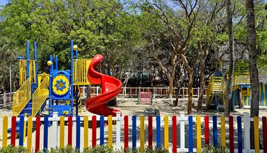 Sol Palmeras