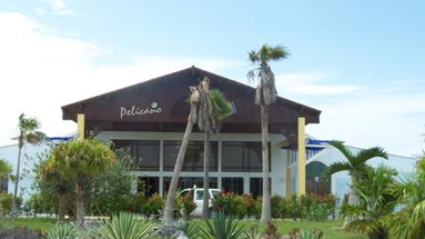 Sol Pelicano