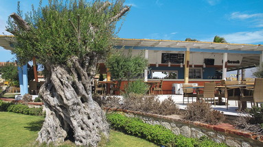 Solto Alacati