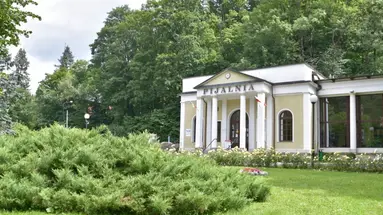 Sonata (Duszniki-Zdrój)