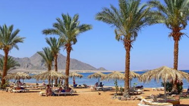 Sonesta Beach Resort Taba