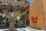 Soul Paje