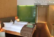 Spa Hotel Zedern Klang