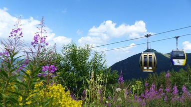 Sporthotel Semmering