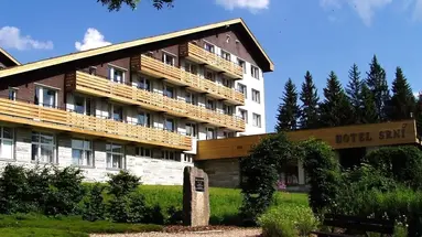 Srni
