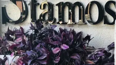 Stamos (Afitos)