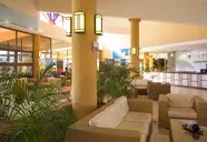 Starfish Cuatro Palmas 