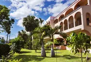 Starfish Cuatro Palmas 