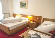 Stella Alpina (Bellamonte)