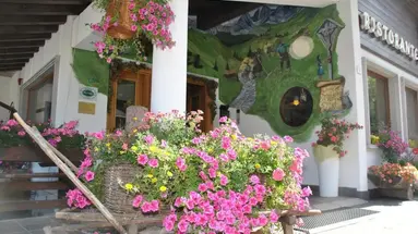 Stella Alpina (Falcade)