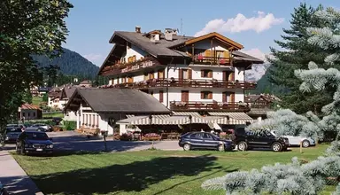 Stella Alpina (Falcade)