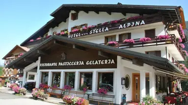 Stella Alpina (Falcade)