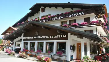 Stella Alpina (Falcade)