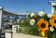 Stella Marina (Cecina Mare)